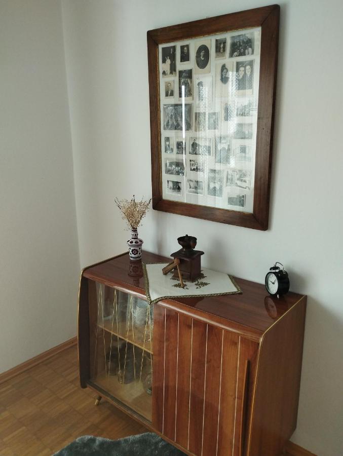 Apartmani Gruzdovo Delnice Zewnętrze zdjęcie