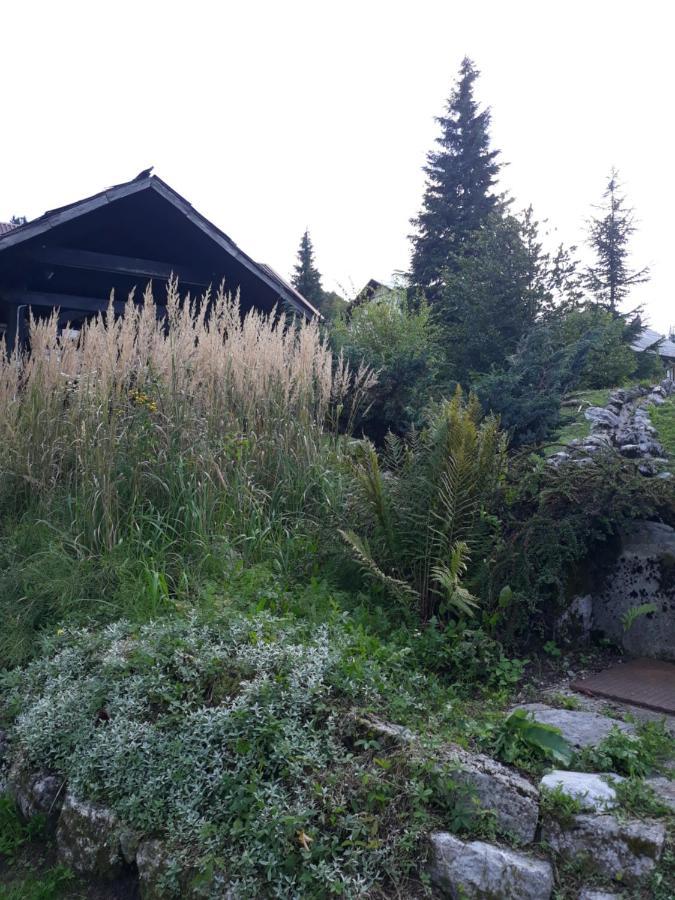 Apartmani Gruzdovo Delnice Zewnętrze zdjęcie
