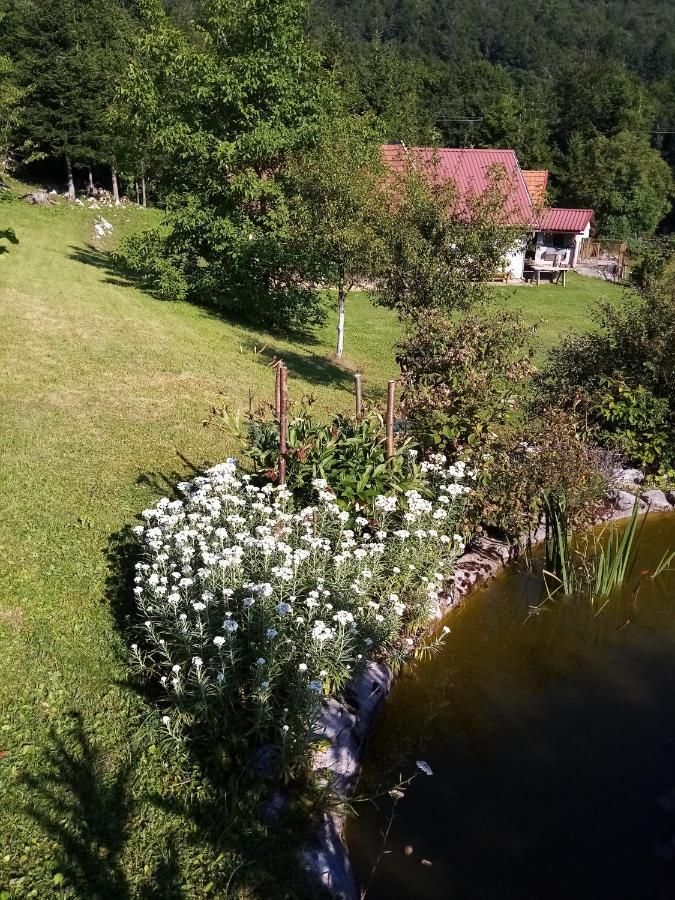 Apartmani Gruzdovo Delnice Zewnętrze zdjęcie