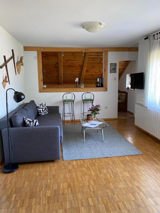 Apartmani Gruzdovo Delnice Zewnętrze zdjęcie