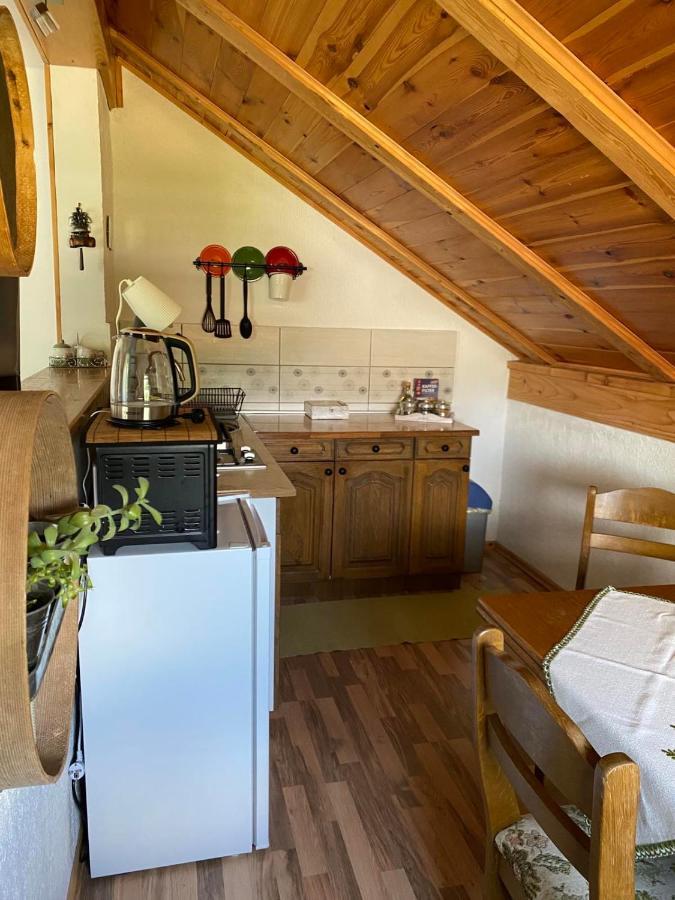 Apartmani Gruzdovo Delnice Zewnętrze zdjęcie