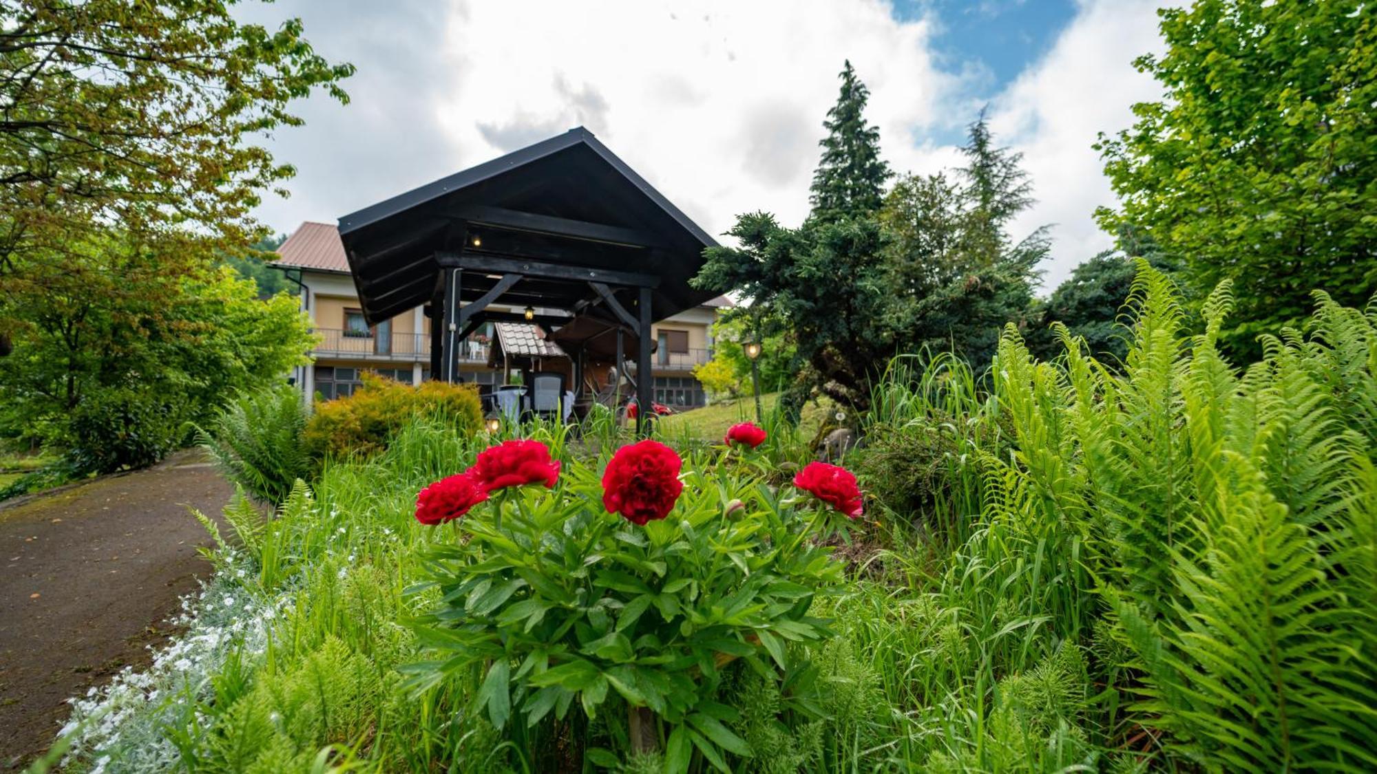 Apartmani Gruzdovo Delnice Zewnętrze zdjęcie