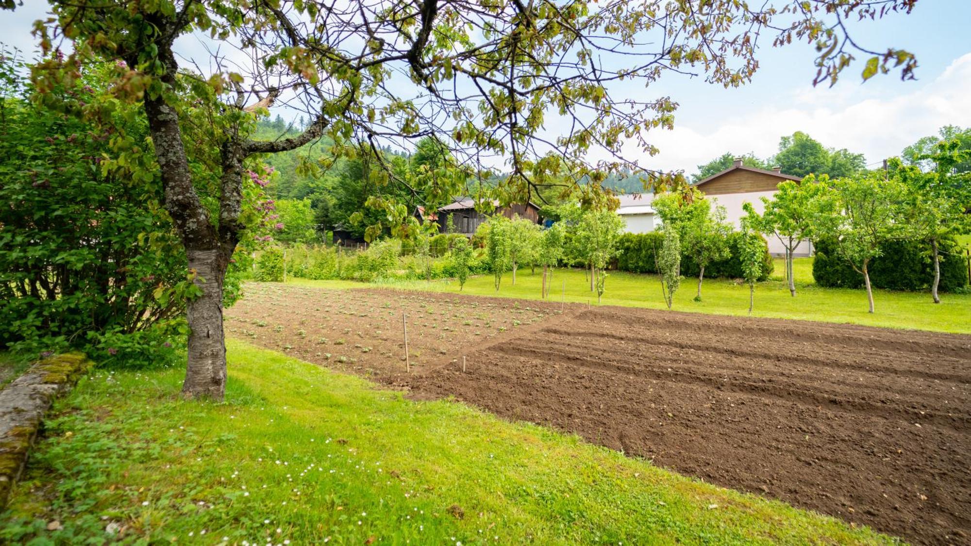 Apartmani Gruzdovo Delnice Zewnętrze zdjęcie